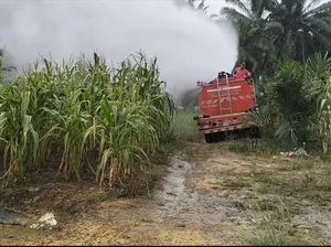 Cegah Gagal Panen saat Kemarau, Polisi Semprot Lahan Jagung di Riau Pakai Damkar