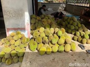 Banjir Durian Murah di Pangkalan Bun