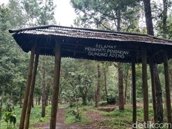 Pendakian Gunung Adeng Padukan Keindahan Alam dan Nilai Spiritual