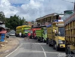 Pohon Tumbang Tutup Jalan Poros Tana Toraja, Bus dan Truk Antre 1 Km