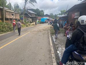 Pohon Tumbang di Tana Toraja Dievakuasi Usai 2 Jam Tutup Jalan, Lalin Normal