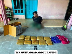 Bareskrim Gagalkan Pengiriman 10 Paket Ganja dari Padang ke Sidoarjo