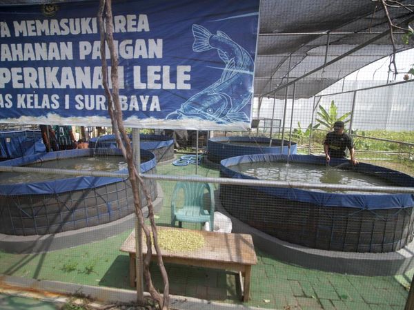Bekal Hidup Baru dari Balik Jeruji, Warga Binaan Asah Keterampilan Produktif