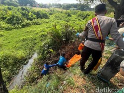 Mayat Wanita Dewasa Ditemukan di Semak-semak Tepi Jalan Lingkar Weleri