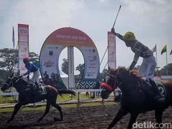 Genjot Antusias Warga Jogja, Pacuan Kuda Piala Paku Alam Buka Kelas Lokal