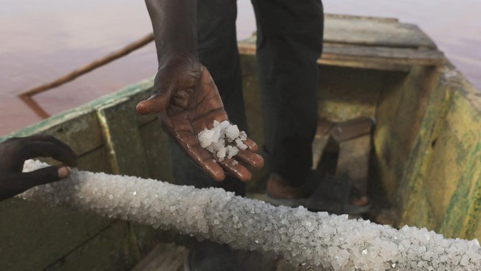 Mengais Emas Putih dari Danau Pink Ikonik People extract salt from the Pink Lake (Lac Rose), officially known as Lake Retba near the capital Dakar, Senegal June 8, 2026. REUTERS/Raghed Waked