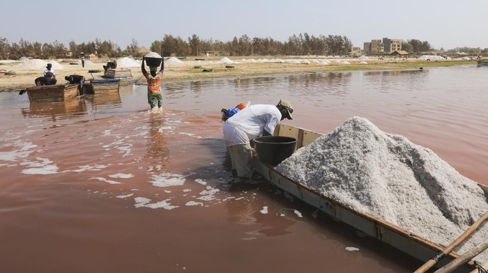 People extract salt from the Pink Lake (Lac Rose), officially known as Lake Retba near the capital Dakar, Senegal June 8, 2026. REUTERS/Raghed Waked