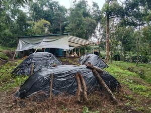 Mengolah Daun-daun Gugur Jadi Kompos