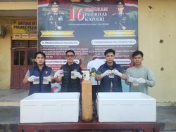 Gudang Benih Lobster Ilegal di Lampung Digerebek, 9.000 Ekor Disita