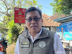 BKSDA Bali Terima Pengembalian 16 Monyet Ekor Panjang dari Warga