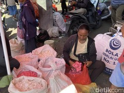 H-2 Galungan, Harga Bunga Pacar di Klungkung Tembus Rp 30 Ribu/Kg