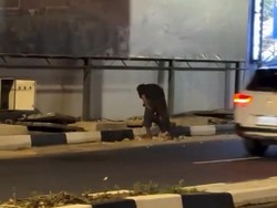 Polisi Tangkap Rayap Besi Curi Penutup Drainase di Terowongan Pelita Batam