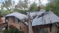 7 Rumah di Sidrap Rusak Tertimpa Pohon Tumbang Akibat Angin Kencang