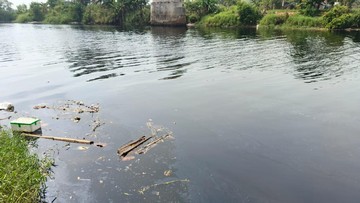 Diduga Tercemar, Sungai Ciujung Serang Berwarna Hitam dan Bau Menyengat