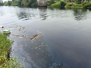 Diduga Tercemar, Sungai Ciujung Serang Berwarna Hitam dan Bau Menyengat