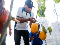 Panen Melon di STPL Bekasi, Wamensos Dorong Sentra Jadi Pusat Pemberdayaan