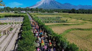 Gunung Semeru Catat Aktivitas Vulkanik Tertinggi di Indonesia