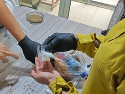 4 Kasus Penyelundupan Narkoba ke Lapas Jakarta-Rutan Salemba Digagalkan