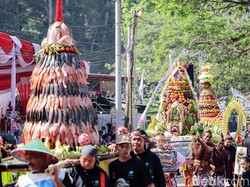 Ikan Nila 3 Kuintal Ludes Diperebutkan di Larungan Telaga Ngebel