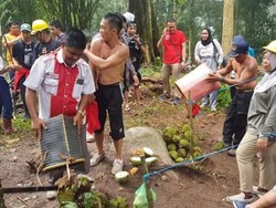 Tradisi Menyandau di Bukit Balang, Syahdu Menanti Durian Jatuh