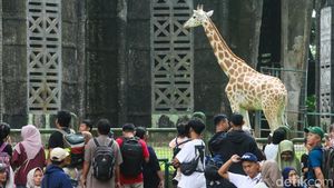 Ragunan Jadi Magnet Pengunjung Saat Libur Tahun Baru Hijriah