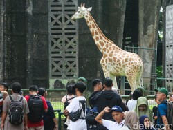 Video: Rayakan HUT Jakarta, Transum-Wisata Pemprov DKI Cuma Rp 1!