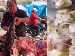 Bikin Bergidik! Di Amazon Ada Sashimi Daging Buaya Segar