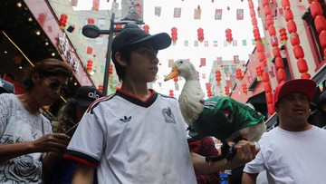 Bak Maskot Piala Dunia, Bebek El Tri Ini Jadi Idola Baru Warga Meksiko