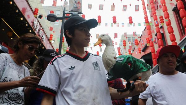 Bak Maskot Piala Dunia, Bebek El Tri Ini Jadi Idola Baru Warga Meksiko