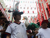 Bak Maskot Piala Dunia, Bebek El Tri Ini Jadi Idola Baru Warga Meksiko