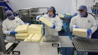 Dari Balok hingga Keju Parut, Intip Proses Produksi Keju Skala Industri di Inggris