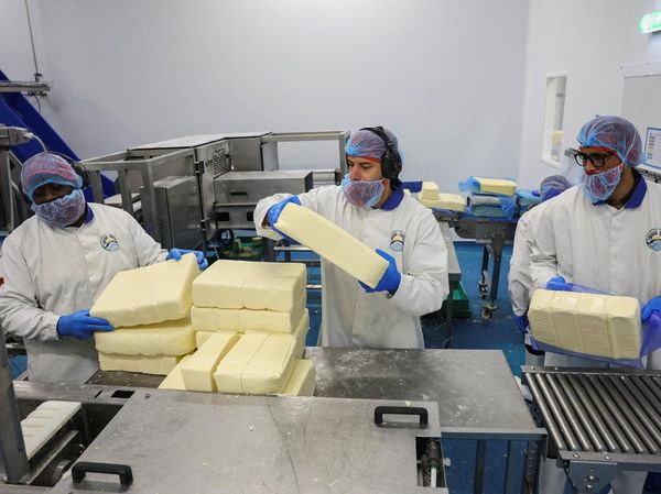 Dari Balok hingga Keju Parut, Intip Proses Produksi Keju Skala Industri di Inggris