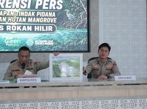 3 Hektare Hutan Mangrove Dibabat, Pria di Rohil Jadi Tersangka