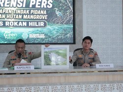 3 Hektare Hutan Mangrove Dibabat, Pria di Rohil Jadi Tersangka