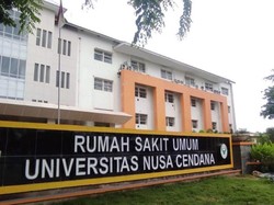 Neonatus Dijadikan Layanan Unggulan di RSU Undana, Tenaga Medis-Alat Disiapkan
