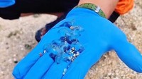 Korban Sengatan Ubur-ubur di Pantai Gunungkidul Mulai Berjatuhan