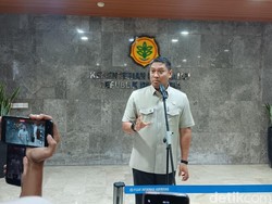 Kejar Swasembada Bawang Putih, Kementan Siapkan Anggaran Hampir Rp 400 M
