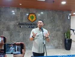 Prabowo Mau RI Stop Impor Bawang Putih dalam 3 Tahun