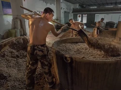 Ilmuwan Pecahkan Misteri Alkohol China Berusia 2.500 Tahun