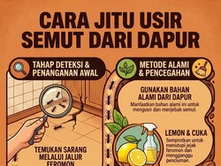 Infografis: Dapur Diserang Semut? Begini Cara Jitu Basmi Biar Nggak Balik Lagi
