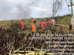 Karhutla Terjadi di Ogan Ilir, Luas Lahan Terbakar 2 Hektare