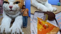 Ketika Kucing Raksasa Lebih Dicari daripada Kopi dan Pastri