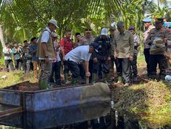 Didampingi Kapolda Riau, Menteri LH Cek Kanal Cegah Karhutla di Pelalawan