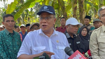 Menteri LH Minta Pengepul Sawit Tak Cuma Ambil Untung, Tapi Ikut Cegah Karhutla