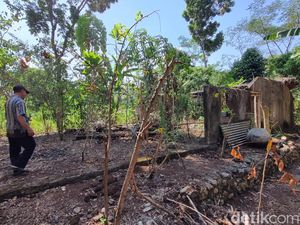 Kisah Padukuhan di Banjarejo Gunungkidul Kini Hilang Usai Ditinggal Warganya