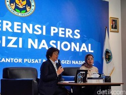 BGN Setop Distribusi MBG ke Anak Sekolah, Bumil dan Balita Selama Hari Libur