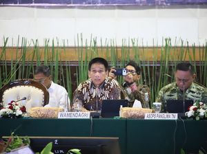 Wamendagri Tekankan Sinergi Antarwilayah untuk Kendalikan Karhutla