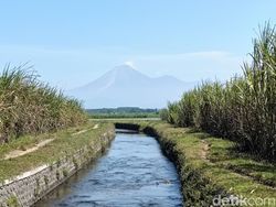 BPBD: Semeru Berpotensi Erupsi Susulan Luncurkan Awan Panas Guguran