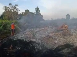 Dua Karhutla Terjadi di Kobar, Pemadaman Satu Titik Butuh Waktu 4 Hari