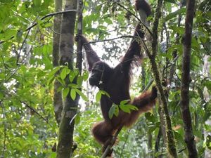 Sekarang Himba Gagah Banget, Tak Disangka Masa Bayinya Begitu Kelam